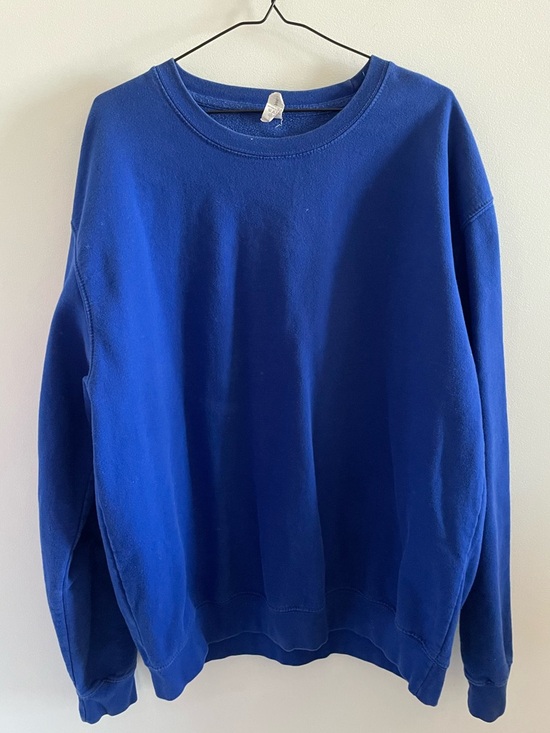 Other - Blue crewneck sweater